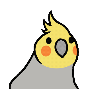 Bird Animation