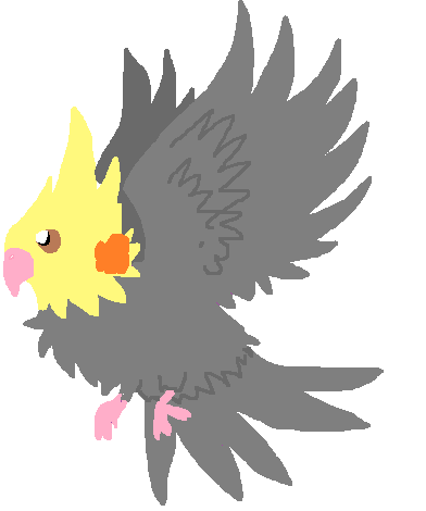 Flying Cockatiel